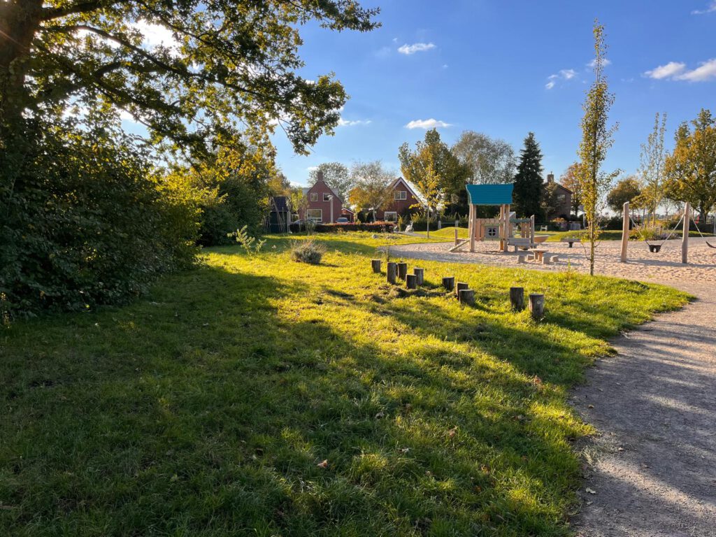 Voorjaarsbollen geplant op het Akkerveld!