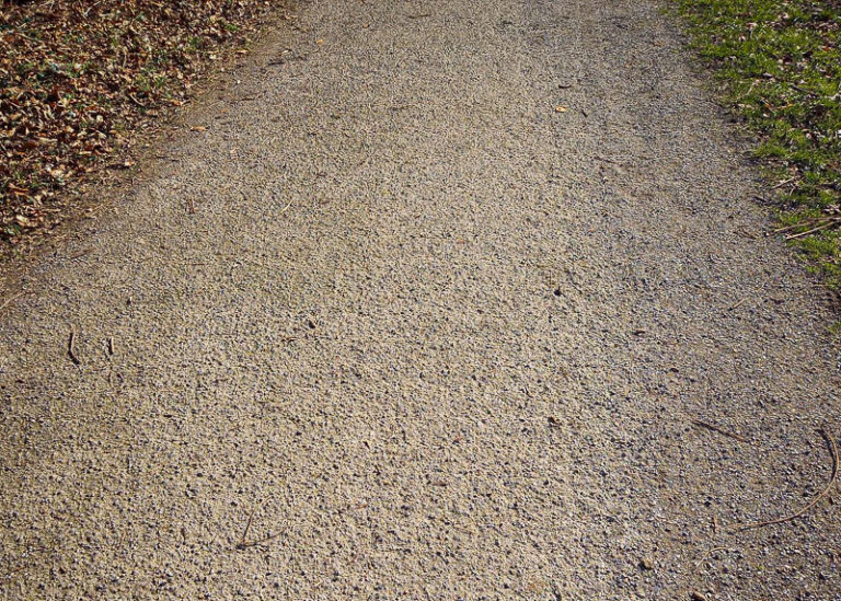 Staalslakken op het Akkerveld